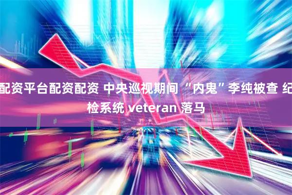 配资平台配资配资 中央巡视期间 “内鬼”李纯被查 纪检系统 veteran 落马