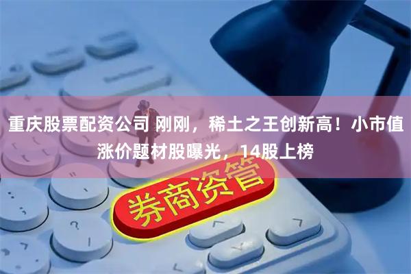 重庆股票配资公司 刚刚，稀土之王创新高！小市值涨价题材股曝光，14股上榜